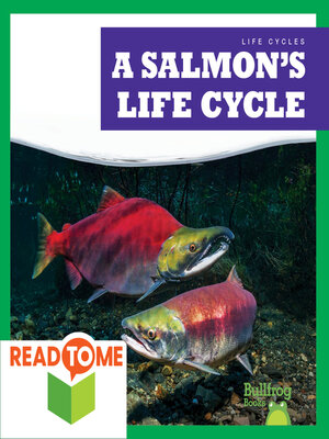 cover image of A Salmon's Life Cycle